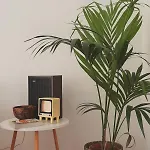 Apartamento Orange Trees House Cinque Terre *