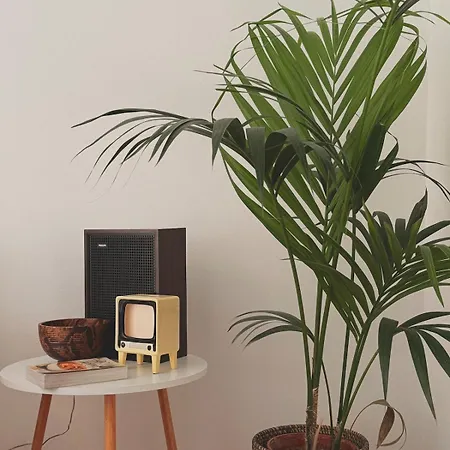 Apartmán Orange Trees House Cinque Terre *