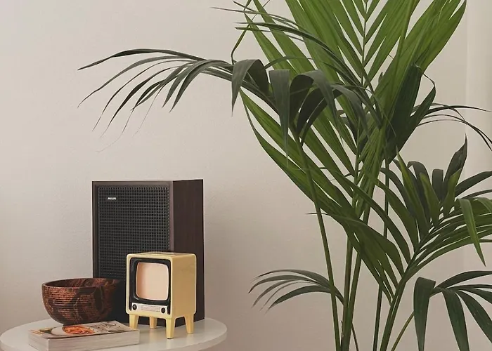 Apartmán Orange Trees House Cinque Terre *